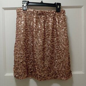 Sequined Skirt
